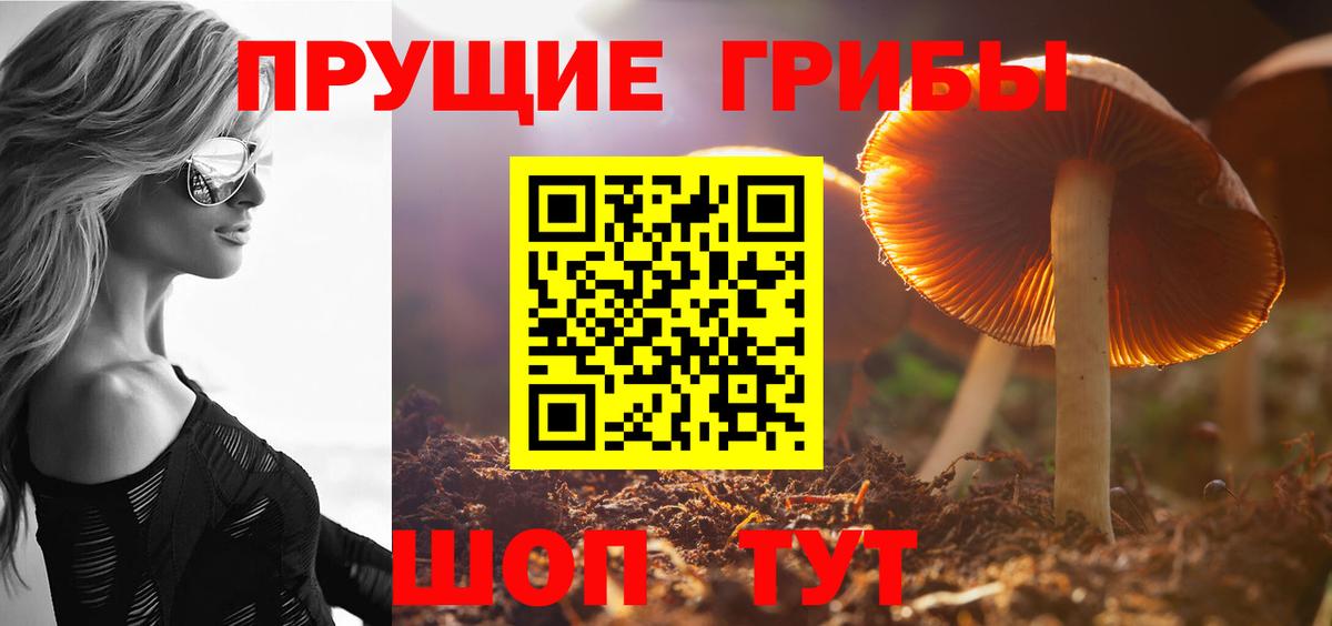 Нефтеюганск  Псилоцибиновые грибы Magic Shrooms  где найти   Вход с VPN 