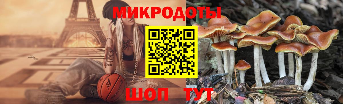 Галлюциногенные грибы GOLDEN TEACHER Нефтеюганск